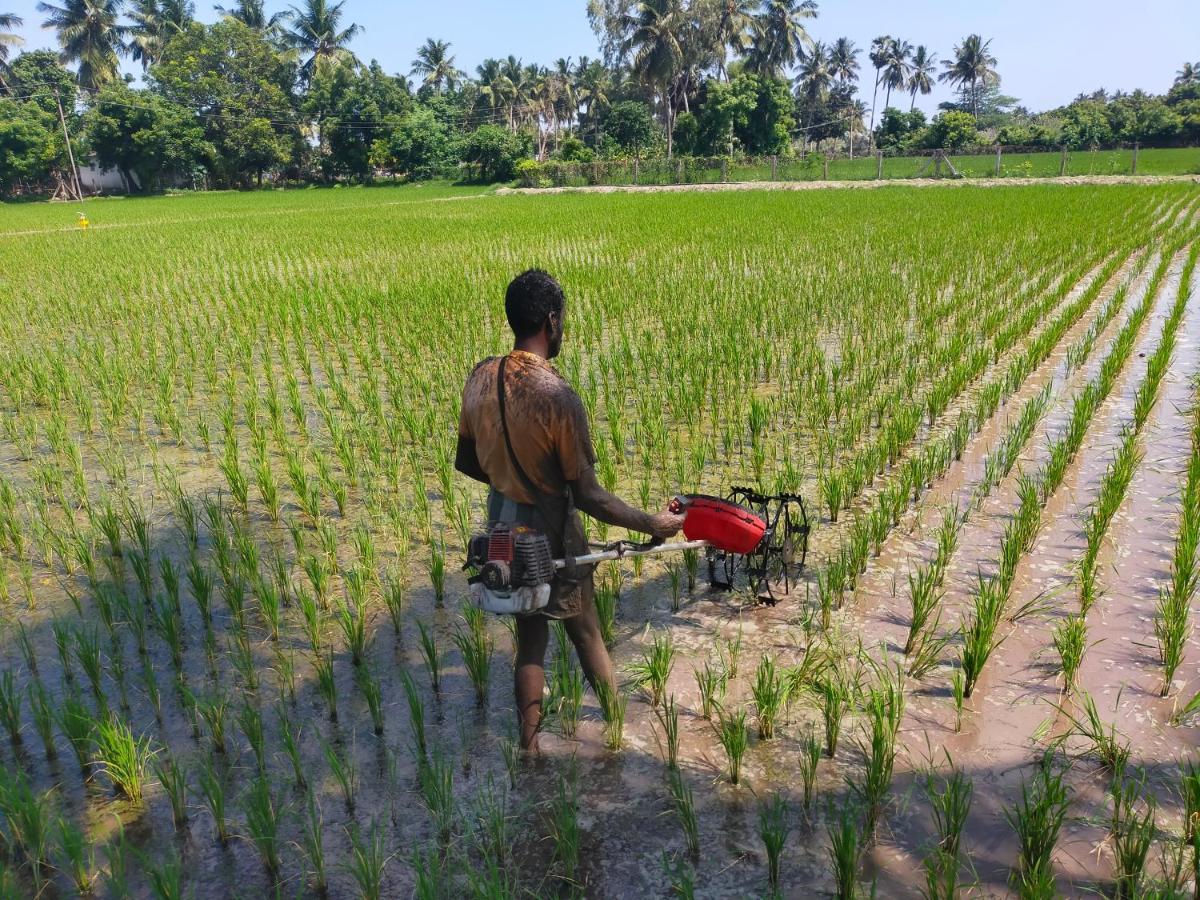 The Farm Crest, Ecr Kadallur Kuvattur Luaran gambar