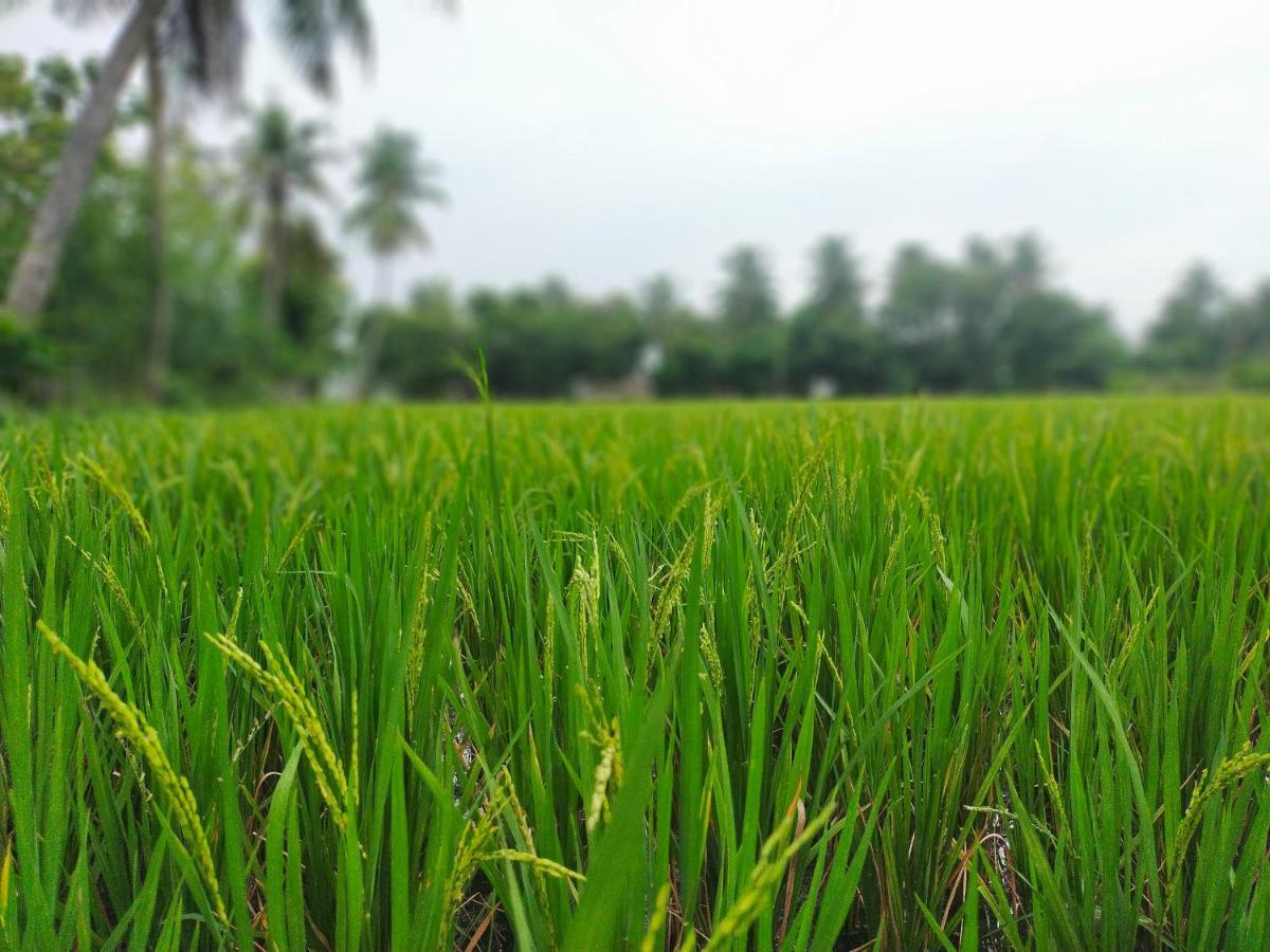 The Farm Crest, Ecr Kadallur Kuvattur Luaran gambar